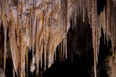 Soda Saman Stalactites Carlsbad Mağaraları Ulusal Parkı 'nın tavanında asılı.