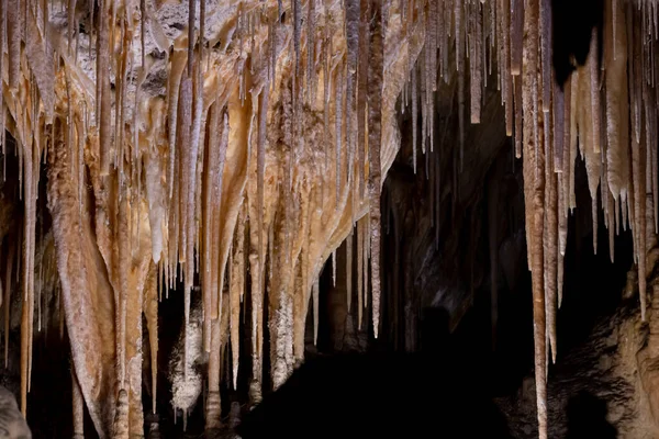 Soda Stro Stalactieten Hangen Aan Het Plafond Van Carlsbad Caverns — Stockfoto