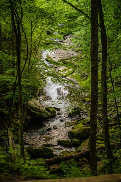 White Water Swirls Lynn Camp Prong Falls Middle Prong Trail — 스톡 사진