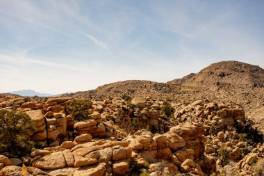 Yürüyüşçü Joshua Tree Ulusal Parkı 'ndaki Pine City Trail' de Rocky 'nin düşüşüne bakıyor.