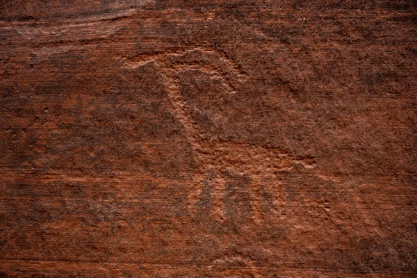 Buckskin Boğazı Ndaki Slaytkaya Duvarında Uzun Boyunlu Hayvan Petroglifi — Stok fotoğraf