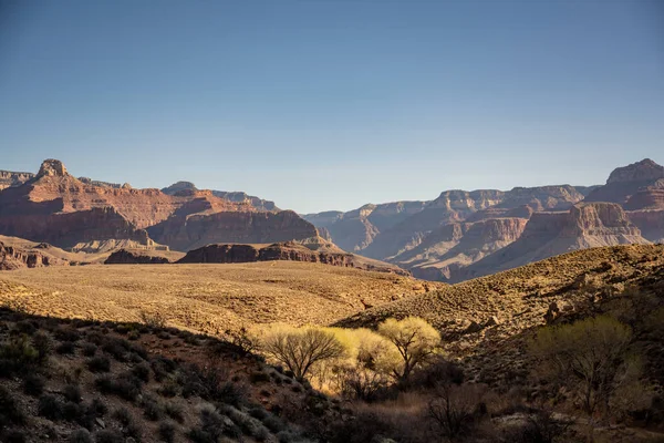 Den Relativt Flata Utsikten Från Plateau Point Trail Grand Canyon — Stockfoto