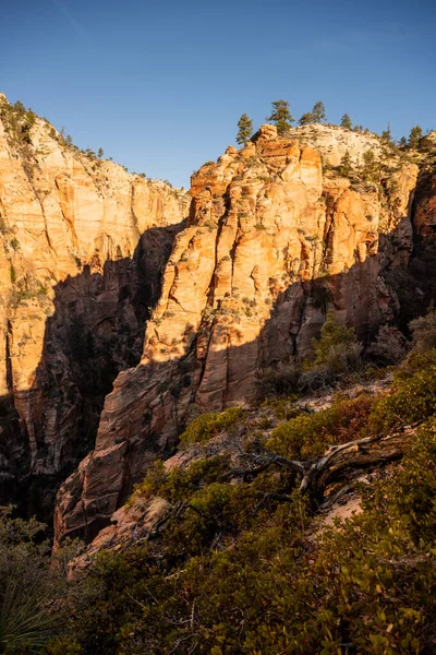 Haut Canyon Frigorifique Sentier West Rim Dans Parc National Zion — Photo