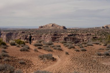 Hiker Heading Out On Neck Spring Trail to an overlook of the canyonlands clipart