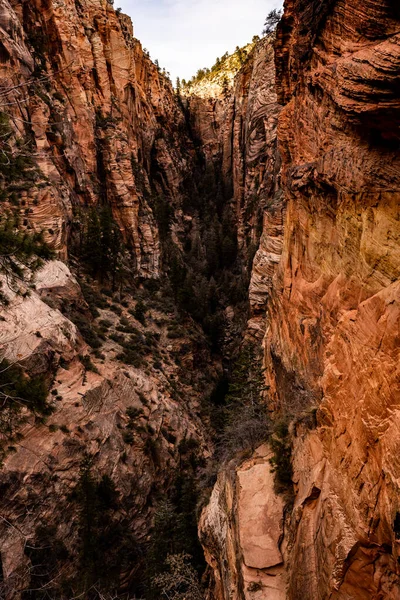 Looking Refridgerator Canyon Dans Parc National Sion — Photo