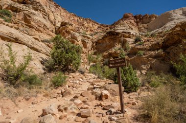 Grand Wash Yolu 'ndan Sona Eren Tanklar için imza atın.