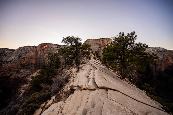 Ridge Top Angels Landing Zion National Park — Stockfoto