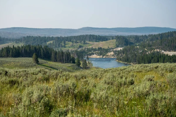 Wide Spot Yellowstone River Howard Eaton Trail Summer Afternoon — Foto Stock