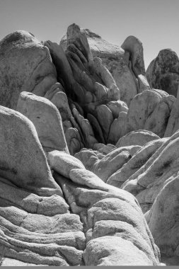 Joshua Tree Ulusal Parkı 'ndaki Siyah ve Beyaz Katmanlar Kemer Kayası yakınında.