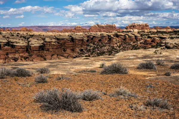 Desert Crust Edge Cliff Needles Canyonlands — Fotografia de Stock