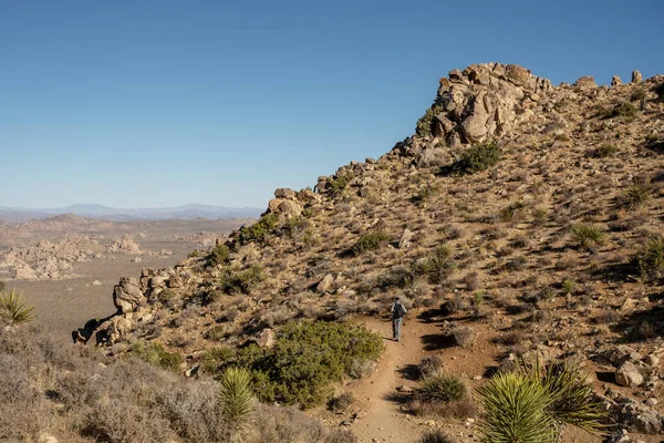 Senderista Que Baja Por Sendero Ryan Mountain Trail Parque Nacional — Foto de Stock