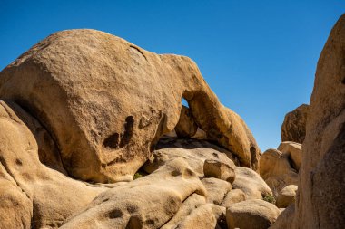 Joshua Tree Ulusal Parkı 'ndaki boş bir kemer kayasına bakıyorum.