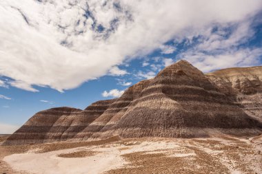 Petrified Forest Ulusal Parkı 'ndaki Mavi Mesa patikası boyunca Büyük Çorak Topraklar oluşumlarını inceliyorum.
