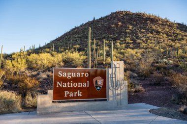 Tucson, ABD: 6 Şubat 2021: Kaktüs Üssü 'ndeki Saguaro Ulusal Parkı Tabelası