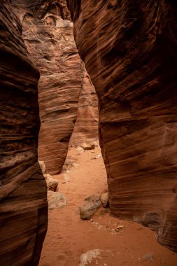 Pürüzsüz Zig Zagging Walls of Wire Pass Kanyonu Buckskin Gulch 'a doğru ilerliyor.