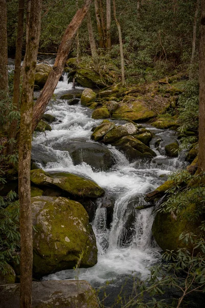 Water Cascading Jakes Creek Great Smoky Mountains National Park — Stock Photo, Image