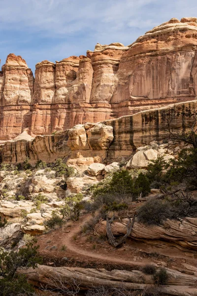 Camino Tierra Vacío Dirige Hacia Arriba Desierto Del Parque Nacional — Foto de Stock