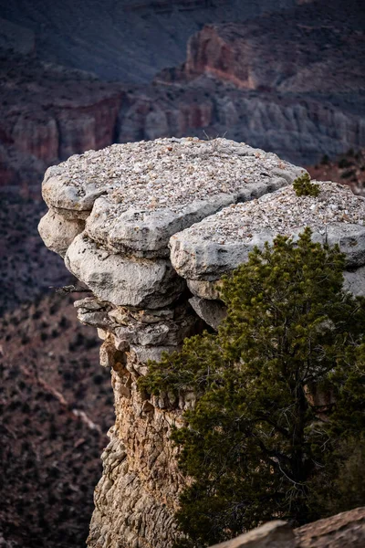 Flat White Look Out Just South Rim Grand Canyon Arizona — стокове фото