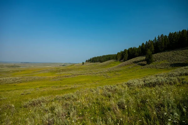 Hillls Hayden Valley Slowly Roll Yellowstone River Middle Summer — стоковое фото