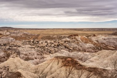 Mavi Mesa 'nın çorak topraklarına bakıyorum.