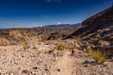 Marufo Vega Patikası Big Bend Ulusal Parkı 'ndaki Meksika sınırına doğru ilerliyor.