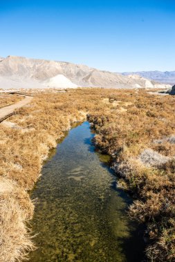 Salt Creek 'in berrak suları Ölüm Vadisi Ulusal Parkı' ndan geçiyor