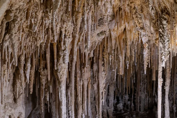 Soda Stro Stalactieten Van Poppentheater Carlsbad Caverns National Park — Stockfoto