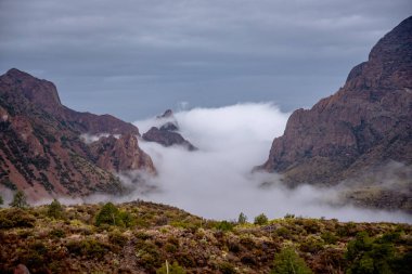 Big Bend Ulusal Parkı 'ndaki Pencereden Sis Geçiyor