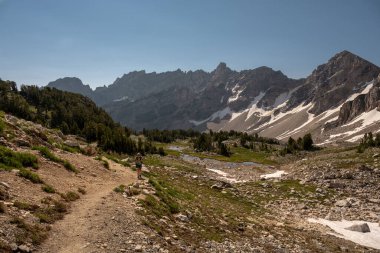 Yürüyüşçü boya fırçasına doğru tırmandı Grand Teton Ulusal Parkı 'nda bölündü
