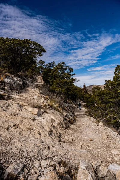 Turysta Zmierza Dół Switchback Parku Narodowym Gór Guadalupe — Zdjęcie stockowe