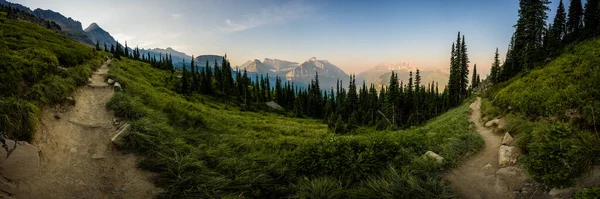 Morgon Highline Trail Panorama Glacier National Park — Stockfoto