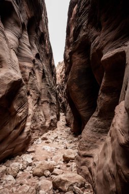 Buckskin Gulch 'un Kısa Duvarları Osercast sabahında Sessiz Renklerle Işığa İzin Verir