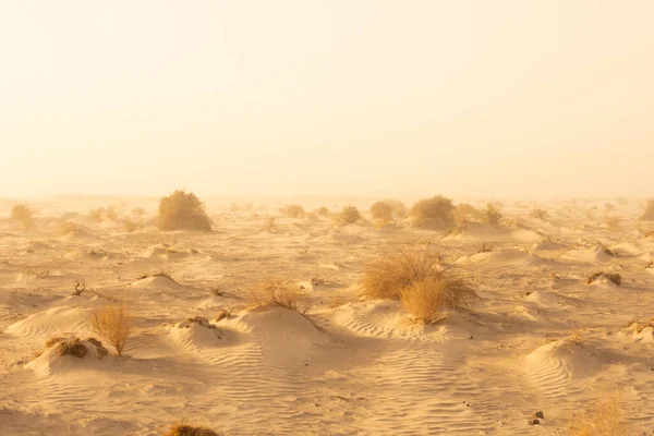 Standing Dust Storm Death Valley National Park — Stock Photo, Image