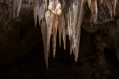 Carlsbad Mağaralarındaki Avize 'nin Narin Detayları Ulusal Parkı
