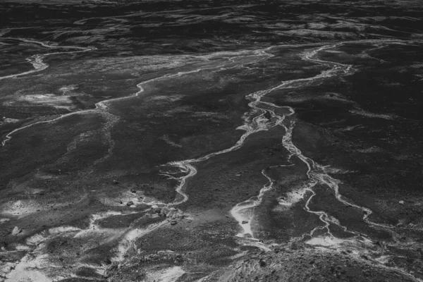 Черно Белый Цвет Голубой Маски Национальном Парке Окаменелый Лес — стоковое фото
