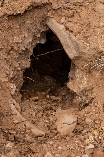 Burrow Των Μεγάλων Ζώων Canyonlands Εθνικό Πάρκο Βρωμιά — Φωτογραφία Αρχείου