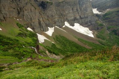 Sabah Kartal Şelalesi Buzul Ulusal Parkı 'ndaki Grinnell Gölü' ne doğru Vadi 'ye düşüyor.