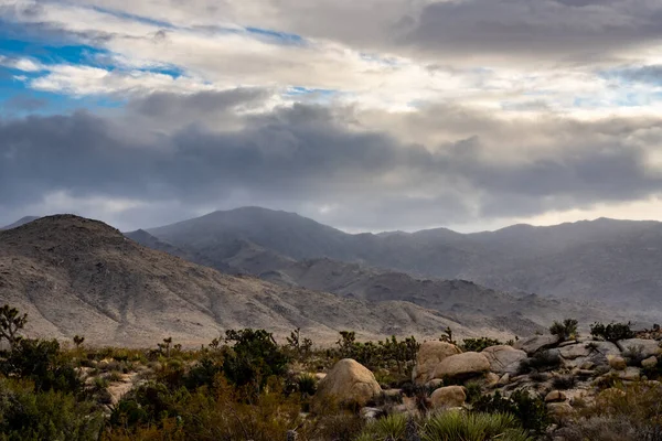 Lluvia Cae Montaña Codorniz Parque Nacional Joshua Tree — Foto de Stock