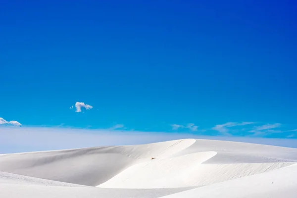 Гладкий Край Дюны Прокладывает Путь Пику Национальном Парке Белые Пески — стоковое фото