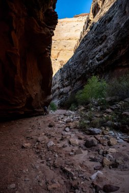 Capitol Resifi Ulusal Parkı 'nda Derin Kanyon' da Güneş Işığına Doğru Yürüyüş