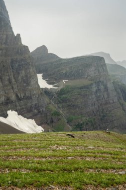 Tüy Şelalesi Buzul Ulusal Parkı 'ndaki Piegan Geçidi' nin aşağısındaki Vadi 'ye düştü.