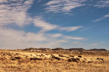Taşlaşmış Ormanın Uzun Kütükleri Taşlaşmış Orman Ulusal Parkı 'nda Çorak Toprakların Önünde Oturuyor