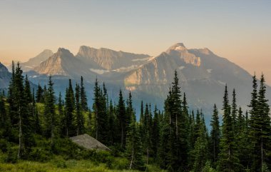 Çam ağaçları dikilir Oberlin Dağı 'na doğru bakar Clements Dağı' na ve Buzul Ulusal Parkı 'ndaki Cannon Dağı' na