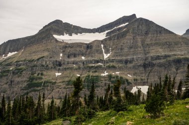 Piegan Buzulu, Buzul Ulusal Parkı 'nın altındaki Vadi' nin üstünde duruyor.