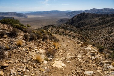 Joshua Tree 'deki Kayıp Mayın Yolu' nda Rocky Dirt Trail Rüzgarları Esiyor