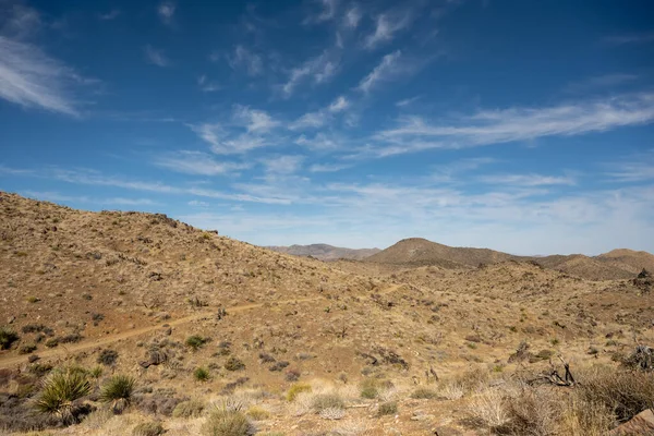 Recortes Senderos Través Brown Hillsides Parque Nacional Joshua Tree — Foto de Stock