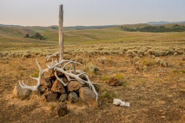 Geyik boynuzları olan iz işareti Yellowstone Ulusal Parkı 'ndaki örnek sırt patikasını işaret ediyor.
