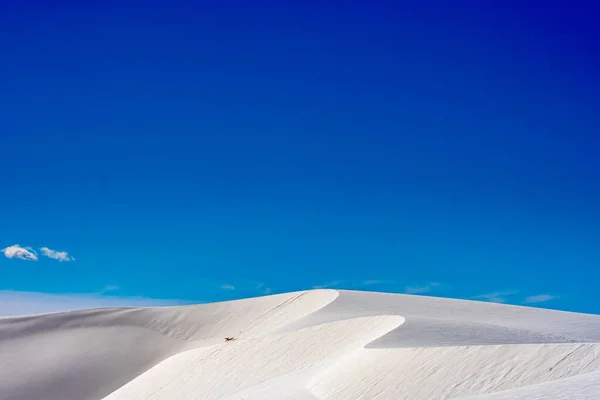 Винтовые Кривые Вершине Белых Песчаных Дюн — стоковое фото