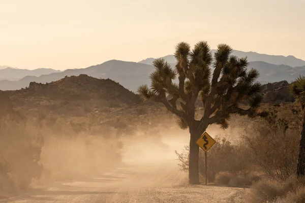 Staub Erfüllt Die Luft Einer Feldstraße Joshua Tree Nationalpark — Stockfoto