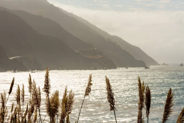 加利福尼亚州中部大苏尔海岸线前的海草谷物 — 图库照片